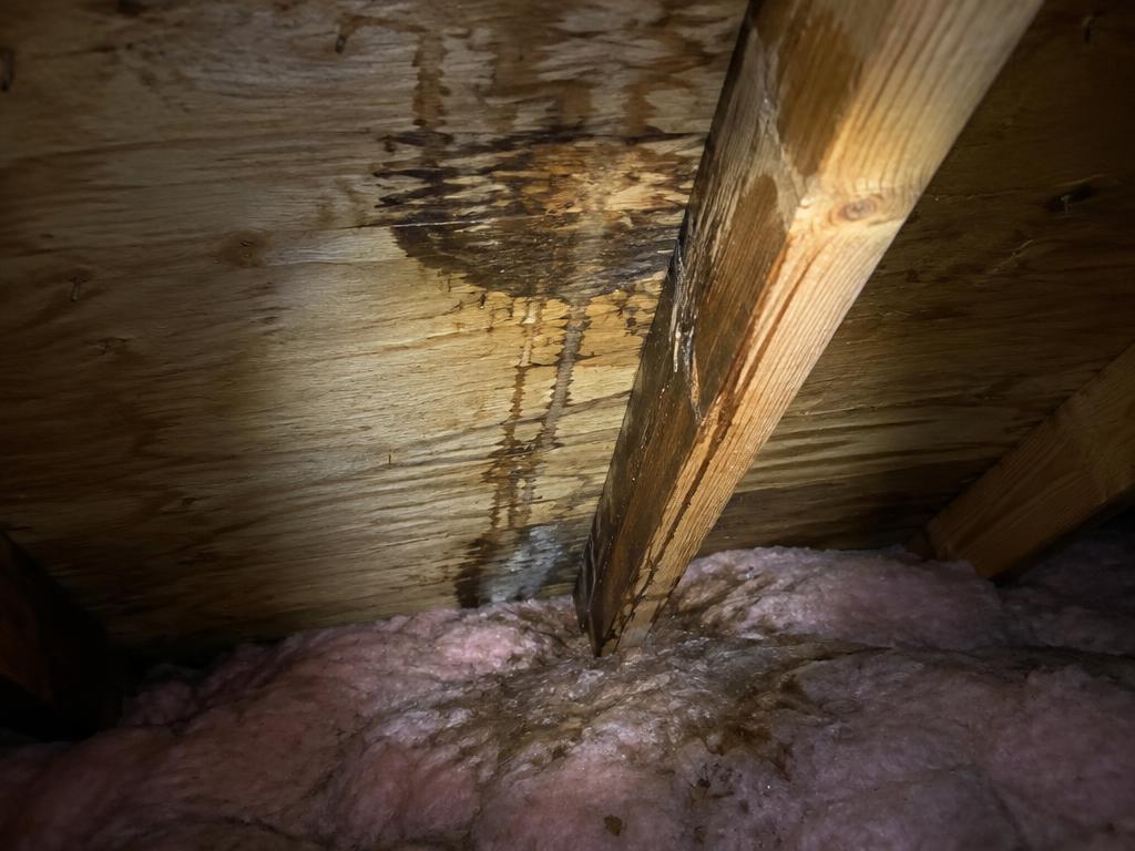 Attic water path staining